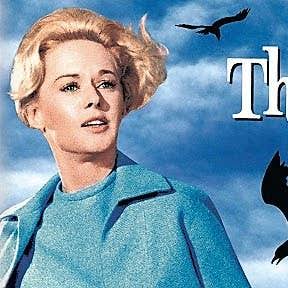 The Birds' (1963) Film Review - Discover HubPages