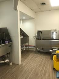 The Dog Spaw Of Little Silver Salon Mobile Dog Grooming The Dog Spaw Salon Mobile Grooming In Monmouth County