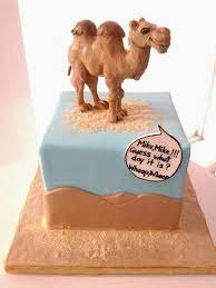 After lunch and before dinner is the best time to party, when guests don't expect a full meal. Hello Kitty Cake Animal Cakes Cake
