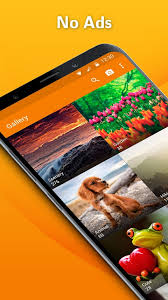 Download latest version of gallery pro app. Simple Gallery Pro Para Android Apk Descargar