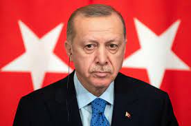 First published on wed 7 apr 2021 06.05 edt. Erdogan Mit Dem Rucken Zur Wand Als Nachstes Geht Es Den Frauenrechten An Den Kragen Politik Tagesspiegel