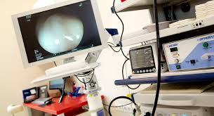Erhohte Leberwerte Was Tun Zentrum Fur Innere Medizin 1090