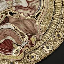 Unbelievable Anatomical Quilled Art By Lisa Nilsson Anatomy Art Art Paper Sculpture