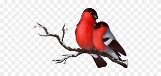 Love Birds Silhouette Png Gallery Images And Information Wedding Free Transparent Png Clipart Images Download Download free birds silhouette png with transparent background. love birds silhouette png gallery