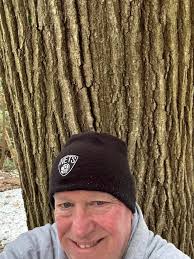 Recently, I paid another visit to the venerable Bedford Oak that stands  along NY 22 in Bedford NY. It seems to be thriving despite recent storms.