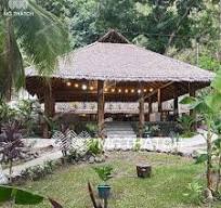 100% Recyclable Material Plastic Artificial Palm Leaves Thatch Synthetic  Banana Leaf Thatched Roofing