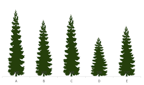 how to change the shape of bars in a chart lady excel