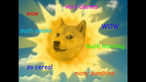 Many take the form of image macros and often feature edits to the doge image for the purposes of. Doge The Best Of Compilation Youtube