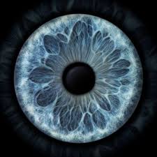 Iris Foto Projekt Agentur Lumens Webseite Ilustracao Olho Olhos Lindos Olhos