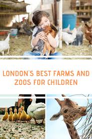 2 hrs farm animal petting zoo 20 x 20: London S Best Farms And Zoos For Children The London Mother Family Days Out Uk Days Out With Kids Farms In London
