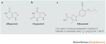 Image result for Febuxostat