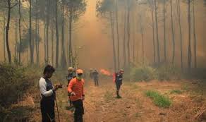Yaitu desa setianegara, desa singkup, dan desa pasawahan. Petugas Jinakkan Api Yang Bakar Lahan Gunung Ciremai Republika Online