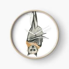 We did not find results for: Australian Clocks Redbubble