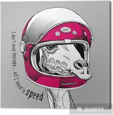 Sturzhelm — der sturzhelm, e (oberstufe) von fahrrad oder motorradfahrern getragene kopfbedeckung, die bei einem unfall den schädel schützen soll beispiel: Leinwandbild Giraffenportrat In Einem Modernen Sturzhelm Des Rennfahrers Vektor Illustration Pixers Wir Leben Um Zu Verandern