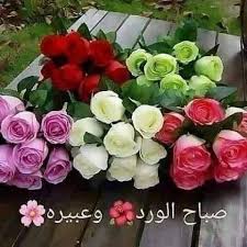 Pin By فلسطينية ولي الفخر On صباح الخير In 2020 Good Morning Beautiful Flowers Beautiful Flowers Good Morning Beautiful