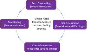 Learn vocabulary, terms and more with flashcards, games and other study tools. Modular Structure Of Web Based Decision Support Systems For Integrated Pest Management A Review Springerlink