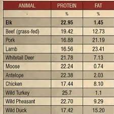 A Dixie Lady Deer Hunter Animal Protein Fat Chart