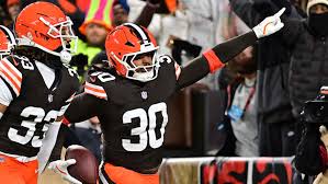 Image result for Ildblomkarse