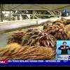 Menjadikan biomassa sebagai sumber untuk memenuhi berbagai kebutuhan menjadi sangat menarik sebab biomassa merupakan bahan yang dapat diperbaharui. Https Encrypted Tbn0 Gstatic Com Images Q Tbn And9gcr4twphr7cn L3qz4lho58cloqqzxw8uym3a8bjcpgrckiqsixe Usqp Cau