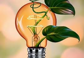 Empower Your Journey with Pursue Perfection Coaching