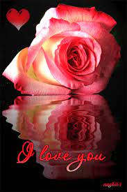 Pin On Natalie Du Bist Die Liebe Meines Lebens Natalie You Are The Love Of My Life I Love You