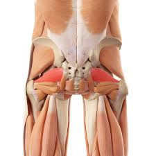 It's for people that also feel a tingling sensation in their leg, which doesn't always happen with piriformis syndrome. What Is Piriformis Syndrome