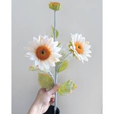 Apakah anda sedang mencari gambar bunga matahari hitam putih? Cf Shopee Co Id File Db5f8b51a81222ba36c3923686