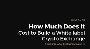 We did not find results for: What Is The Cost Of White Label Crypto Exchange Steemit
