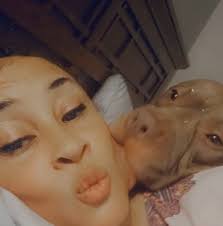 hey guys, my vet told me there's a nationwide shortage