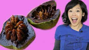 We did not find results for: Black Sapote Chocolate Pudding Fruit Taste Test Fruity Fruits Youtube