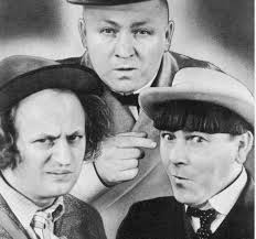 Northern Beaches Council Rate Rise Voting Results