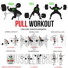 Lean meat, fruits and vegetables are the best way to stay fit and healthy. Push Pull Legs Workout Musclemorph Bodybuilding Gym Exercise Legworkoutbodybuilding Pull Day Workout Push Workout Push Day Workout