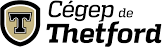 CEGEP DE THETFORD