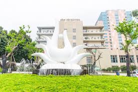 Tôi vẫn còn trách nhiệm phải gánh và tôi có quan điểm là không bao giờ để hết trứng vào một rổ. Lanh Ä'áº¡o Bá»‡nh Viá»‡n Báº¡ch Mai Dá»‹ch Vá»¥ Ä'ang Tá»'t Dáº§n Len NhÆ°ng Táº¥t Cáº£ Bua Riu Ä'á»u Giao SÆ° Nguyá»…n Quang Tuáº¥n Pháº£i Chá»‹u