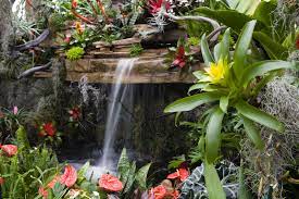Request free quote formal garden incorporates water feature, garden decorations, stepping stone, flower beds. Tropical Flower Garden Design Ideas