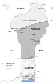 Image result for Justicia tenella