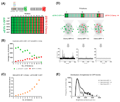 Townhouse and villa development on an 18m frontage block. Ijms Free Full Text Unveiling A Selective Mechanism For The Inhibition Of A Synuclein Aggregation By B Synuclein Html