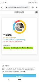 117 out of 166 found this helpful. Thanos Got His Embark Results Back Wolfdogs