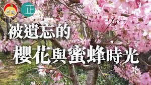 动态 微博 qq qq空间 贴吧. Snsxkfkyta5ixm