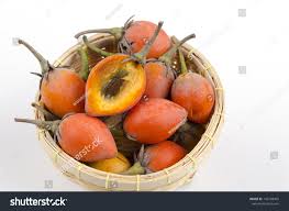 Image result for Mimusops