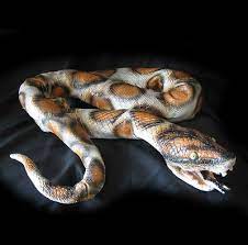 Giant Snake Boa Python Foam Rubber 6 Foot Scary Haunted House Halloween Prop Halloween Haunted Houses Scary Haunted House Halloween Props