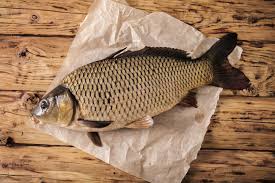 Hut] sie sind wohl hin unterm tschako, dass sie ohne licht mitten in der nacht mit dem fahrrad auf der straße herumgondeln. Frisch Aus See Fluss Nah Frisch