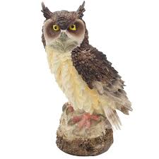 Check spelling or type a new query. Garden Peeker Yard Art Owl Knick Knack For Interior Home Decor 7 Tall Owl Figurinel Urbanseasons Owl Decoration Statues Garden Peeker Yard Art Owl Knick Knack For Interior Home Decor 7 Tall Owl Figurinel Owl Gifts