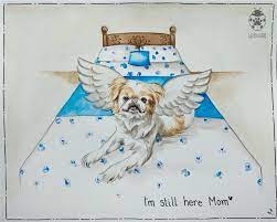 See over 195 miraculous ladybug images on danbooru. I Paint Dogs As Guardian Angels 12 Pics Bored Panda