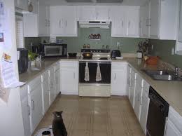 One simple color swap makes these gloomy kitchens refreshingly bright and modern. Interior Mesmerizing Kitchen Design Ideas With Black Appliances Small Designs Amazing Laurelinekoenig