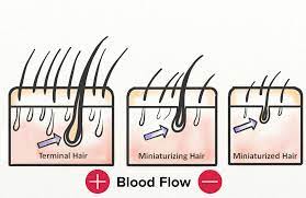 Patience and consistency seem to be the two most important ingredients, after the rub itself, to. Scalp Massage For Hair Growth 2021 Guide Hairguard