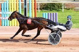 Pariez en direct sur les courses ! La Photo De L Arrivee Du Prix Gaston Combes Course Pmu Du Mardi 15 Novembre 2016 Beaumont De Lomagne