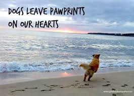 If you need animal cremation in richmond, va, come visit us at pet cremation services & richmond pet memorial park! Best Ways To Hold A Dog Funeral At Home