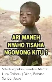 Disini mimin mempunya beberapa meme sunda lucu pisan yang bisa bikin kalian tertawa ngakak dan mimin juga mencoba mentranslate meme nya. Pics Me Me Ari Maneh Nyaho Tisaha Ngomong Kitu