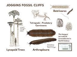 Image result for Hypselodelphys